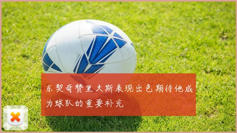东契奇赞里夫斯表现出色期待他成为球队的重要补充